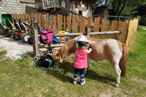 Mini Ponys - Vorberghof